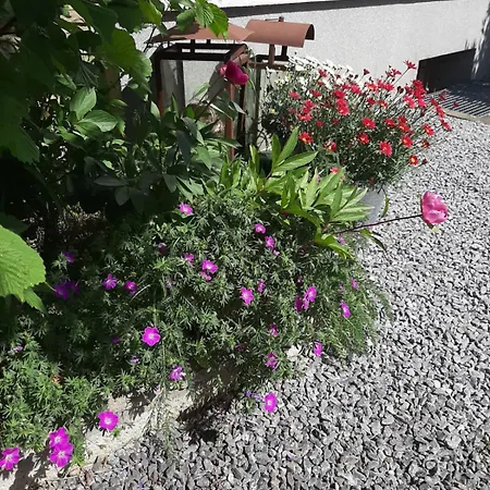 Bellacaro Lohne (North Rhine-Westphalia)