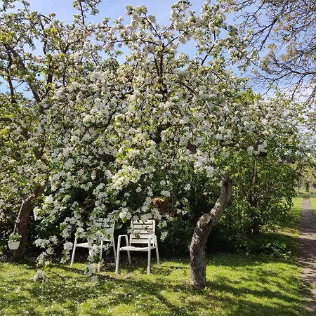 Maison d'hôtes Bellacaro Lohne (North Rhine-Westphalia)