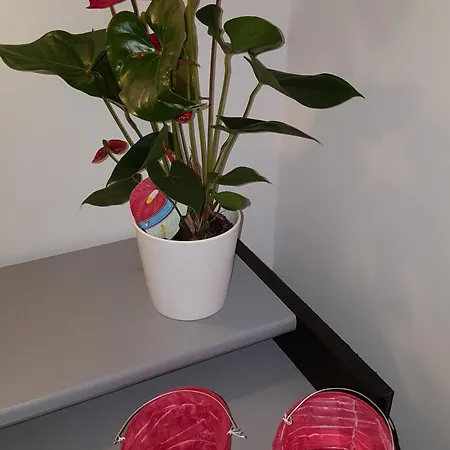 בית הארחה Bellacaro 3*