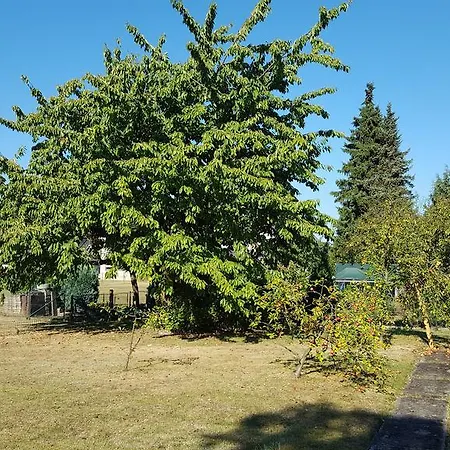 Bellacaro 3* Lohne (North Rhine-Westphalia)