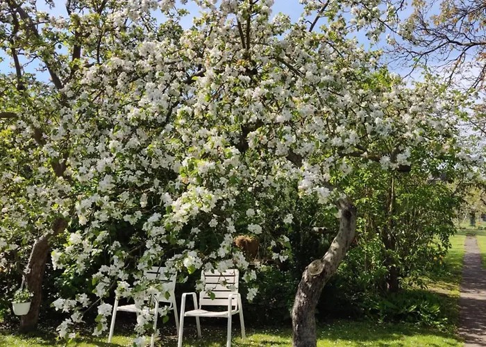 بيت ضيافة Bellacaro لونه