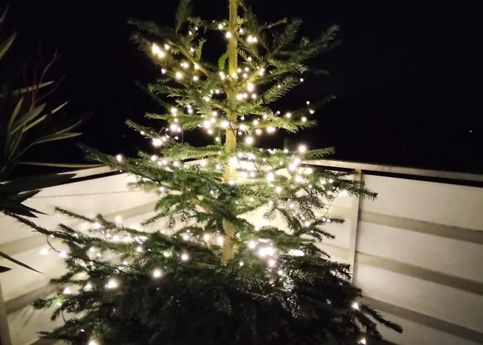 Bellacaro Gæstehus 3*