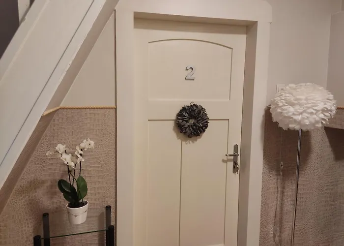 Bellacaro 3* لونه