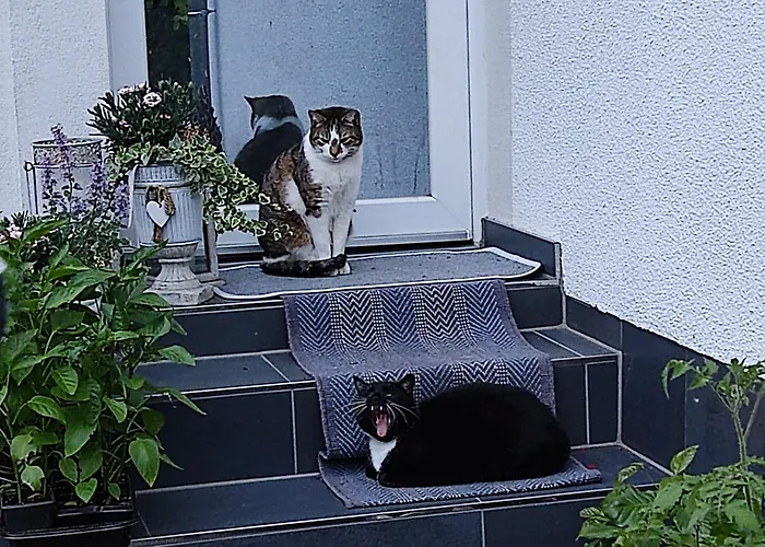 Guest house Bellacaro Lohne (North Rhine-Westphalia)