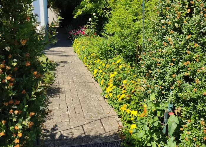 بيت ضيافة Bellacaro لونه