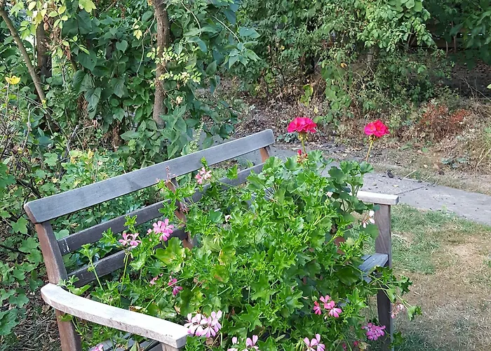 Bellacaro Gæstehus 3*