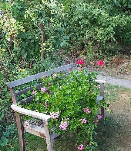 Bellacaro Gæstehus 3*