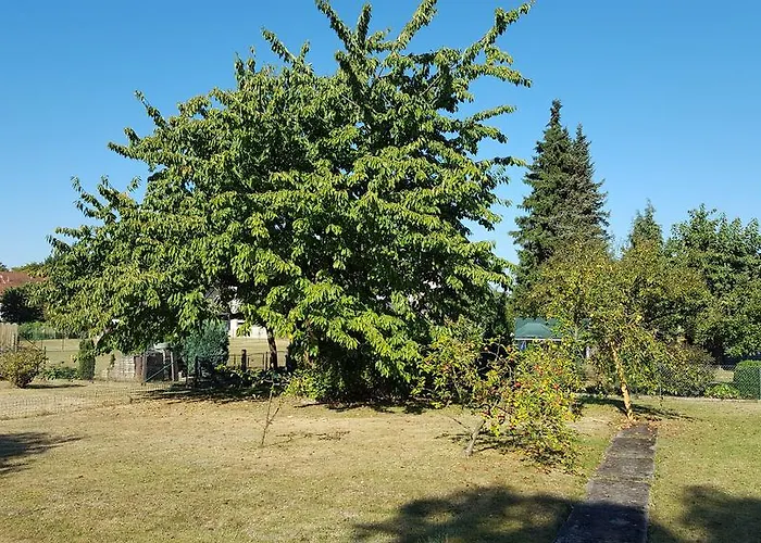 Bellacaro 3* Lohne (North Rhine-Westphalia)